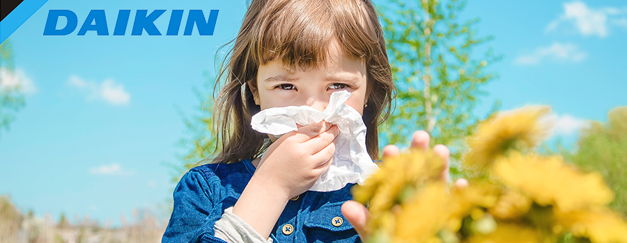 daikin alergia 1