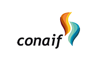 CONAIF SUSPENSION REDES DE GAS 0