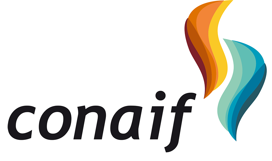 CONAIF SUSPENSION REDES DE GAS 1