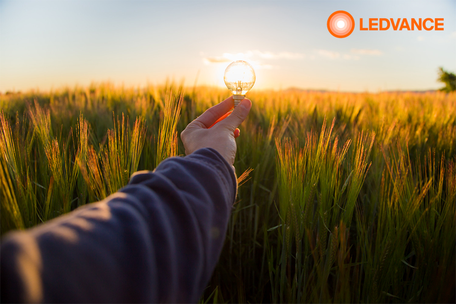 ledvance eficiente reciclando 1