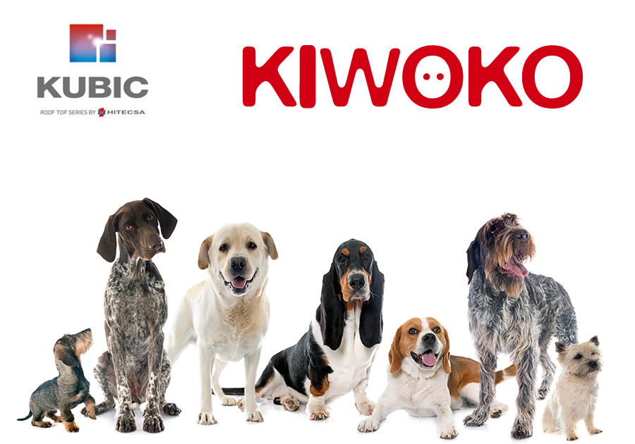 KUBIC Kiwoco 1