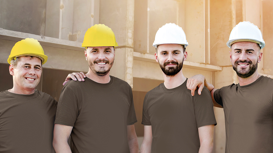 weberASESOR VIRTUAL 1