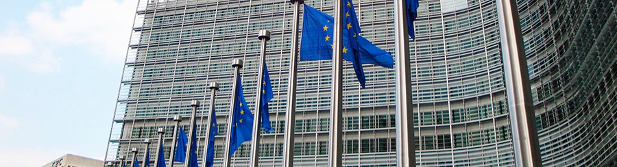 aefyt correcciones 1