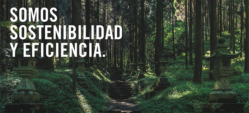 ANESE, Proyecto F-PI: Conocer el producto/servicio financiero más adecuado para desarrollar un proyecto de eficiencia energética ANESE MANIFIESTO SOSTENIBLE 1