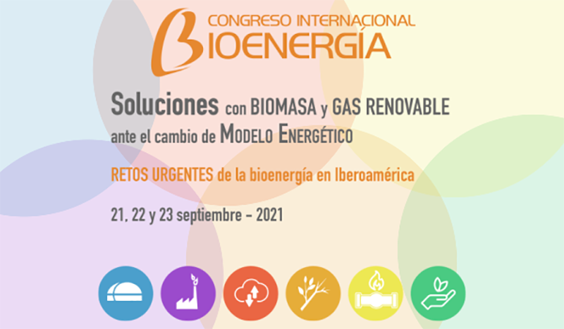 Congreso Internacional de Bioenergía Biomasa y gas renovable 