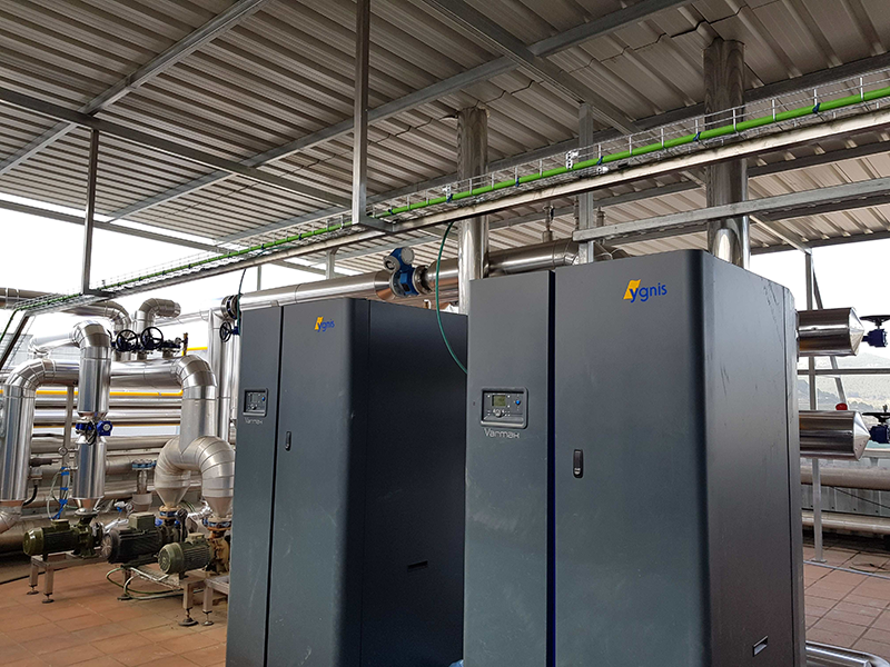 ACV-YGNIS, las soluciones ecoeficientes, eficaces y robustas en las fábricas Vicky Foods 