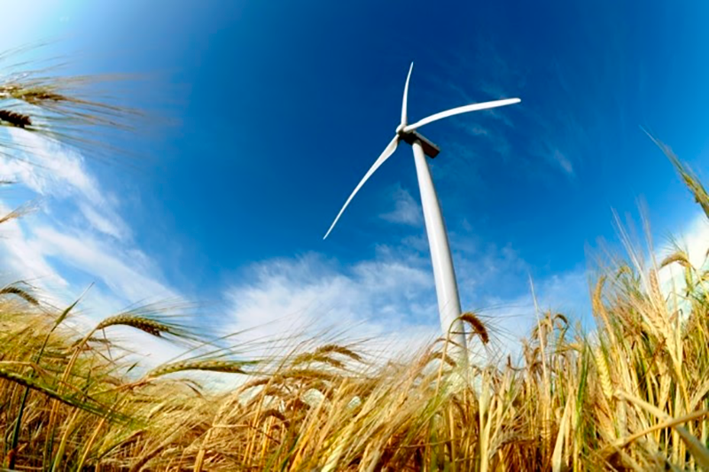 SCHNEIDER Electric y Wilo se asocian para impulsar la estrategia climática