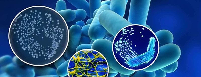 AEFYT interesante: Jornada Técnica "claves para el cumplimiento del nuevo Real Decreto de Legionella 2022"