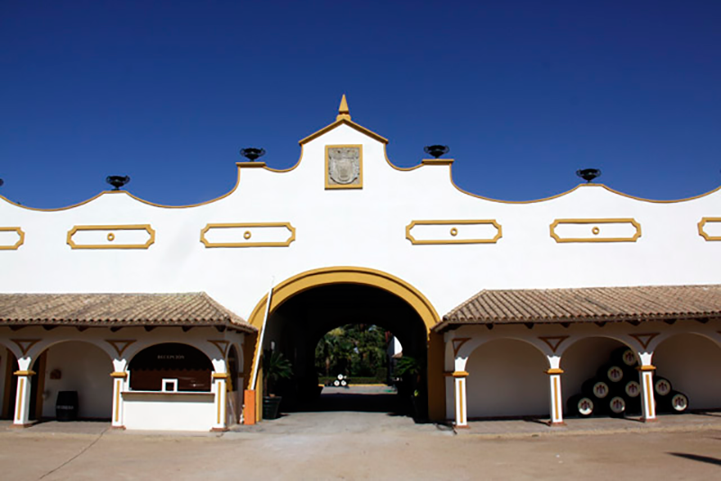 HITECSA climatiza las Bodegas Sani de Almendralejo