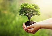 Soler & Palau Ventilation Group se suma a la iniciativa de la Fundación More Trees