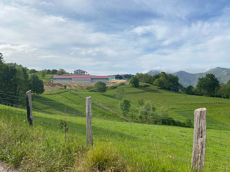 REHAU simula las condiciones de una cueva para una quesería de Asturias REHAU simula las condiciones de una cueva para una quesería de Asturias