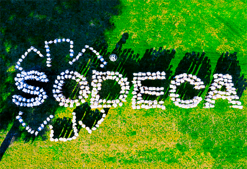 SODECA 40ANIVERSARIO 1