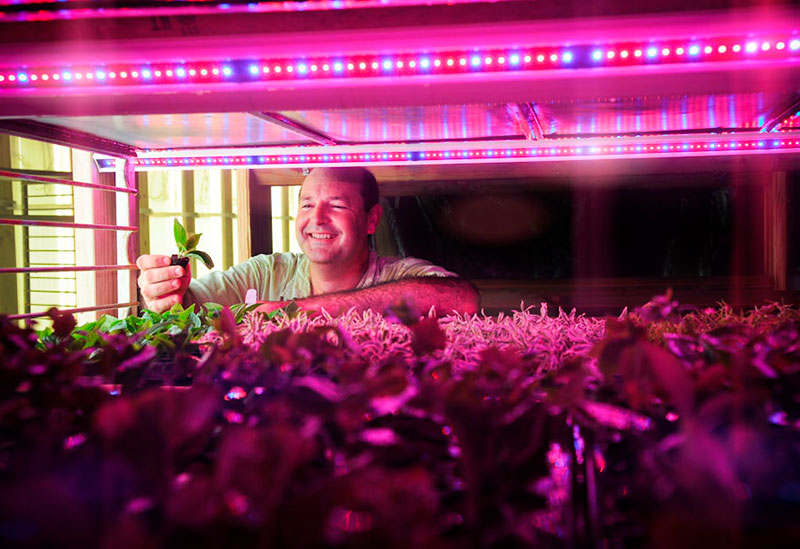 SIGNIFY La iluminación LED 1