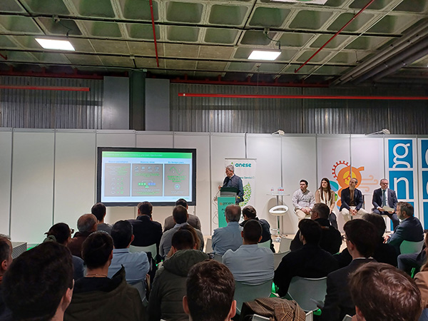 ANESE GENERA 2024 3