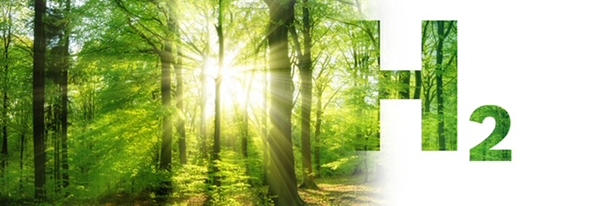 Bosch Home Comfort destaca el rol del Hidrógeno Verde en la Descarbonización del sector Industrial 1