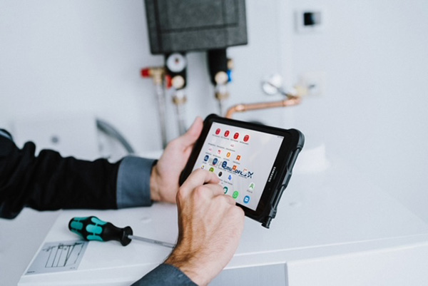 wolf descarbonización 1