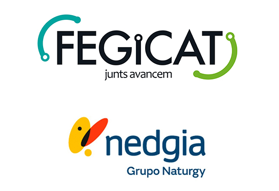 FEGICAT NEDGIA 1