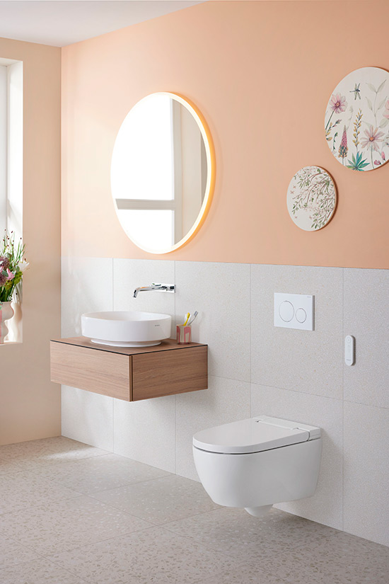 Geberit Aquaclean Feature Alba Turboflush 3