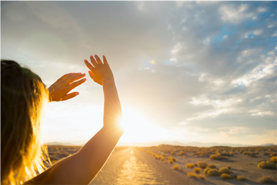 ZEHNDER SOLUCIONES VERANO 2