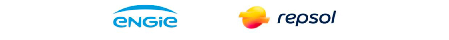 ANESE III CONGR SOST DESCARB 13