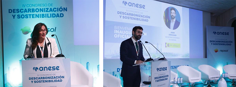ANESE IVCONGRESO 2