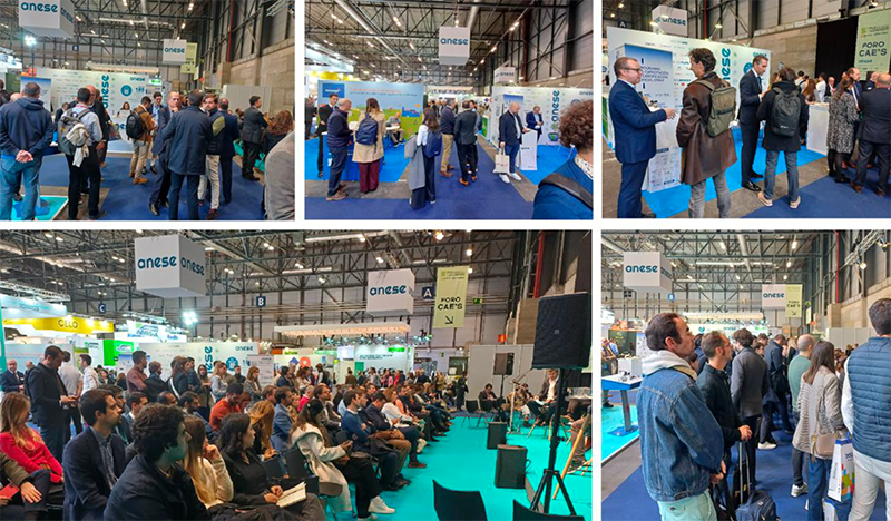 ANESE MATELEC GENERA 1