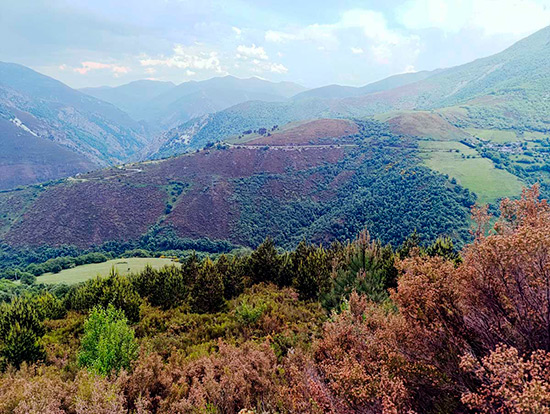 FEGIME BOSQUES SOSTENIBLES 2