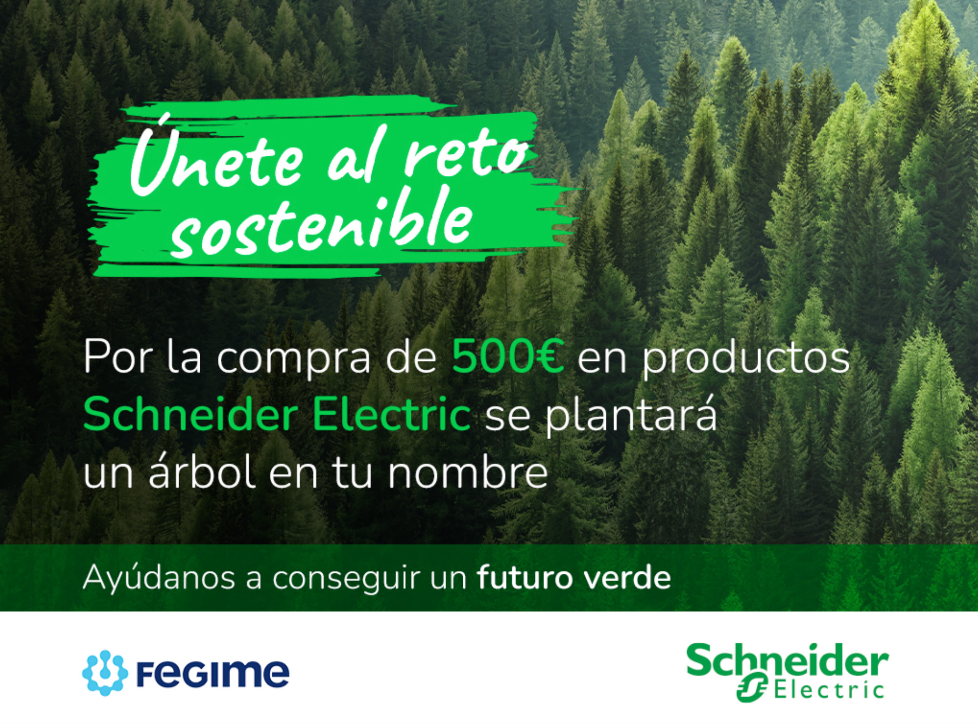 FEGIME BOSQUES SOSTENIBLES 3