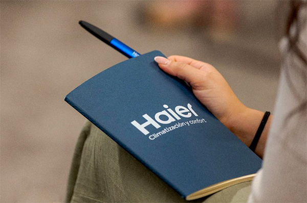 HAIER EXPERT AMBIENT 3