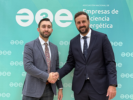 LSF Energía GENERA MATELEC CAE 3