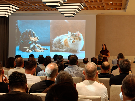 NIESSEN Muestras Vega y Alter Vega 2