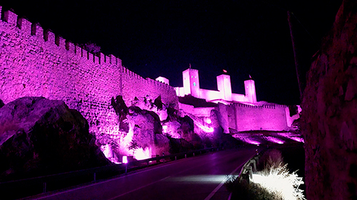 SIGNIFY Molina de Aragon 2