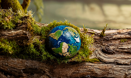 AFEC Estadísticas sectoriales 2