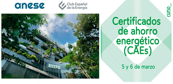 ANESE 5ª edición Curso CAE 1