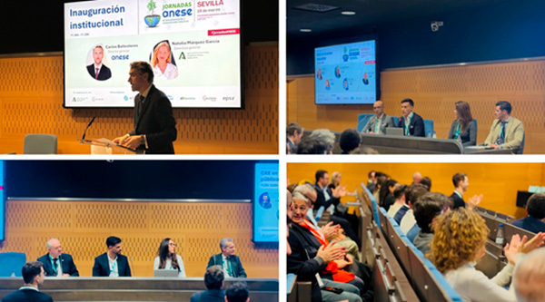 ANESE JORNAD DESC SEVILLA 2