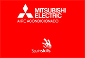 MITSU SPAIN SKILLS 0