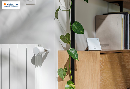 NETATMO NVE NTE WEB HD 1