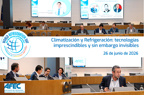 AFEC DMR 2026 RRSS copia 1