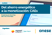 ANESE Curso Fundación Repsol 0