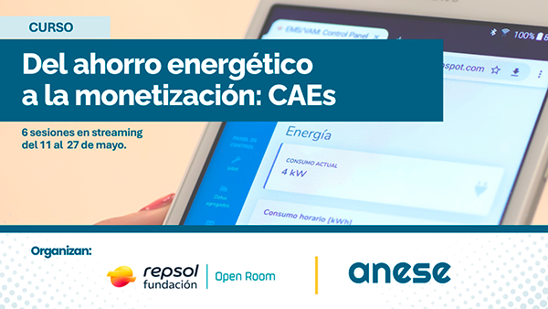 ANESE Curso Fundación Repsol 1