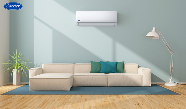 CARRIER Ambi Ambiente 1