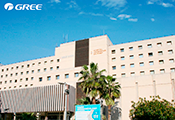 GREE Hospital Dr Peset 0