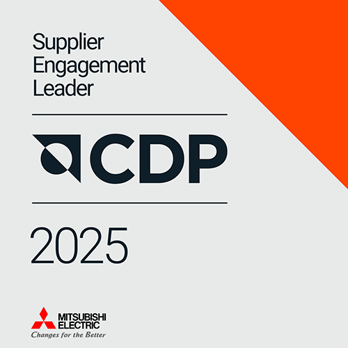 me CDP mayo 2025 1