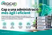 fegicat admin 0