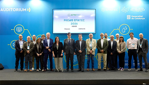 fegicat efintec si 3