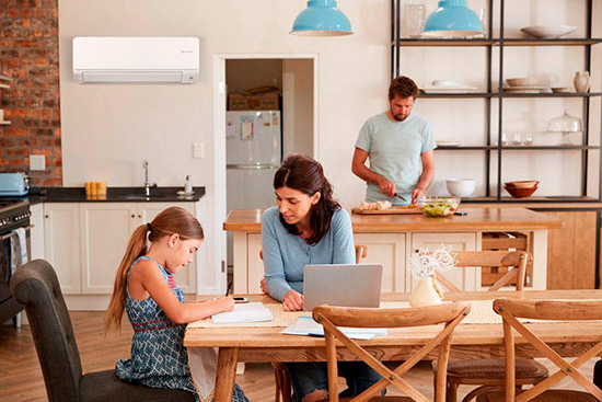 Bosch Home Comfort RADIOGRAFIA CLIMA 2