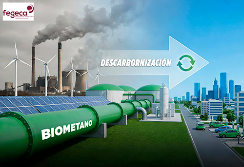 FEGECA BIOMETANO 1