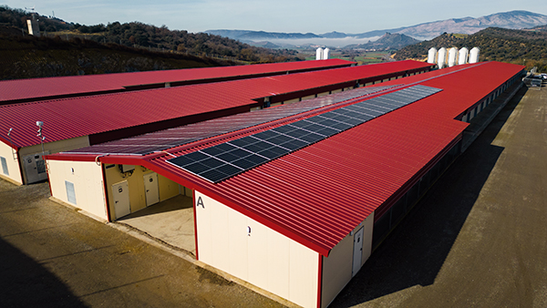 IBC ADEINN REBATTERING 1