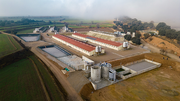 IBC ADEINN REBATTERING 2