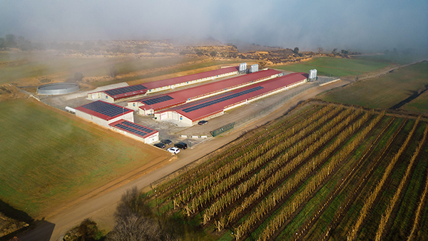 IBC ADEINN REBATTERING 3